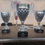 Three silver trophy cups on a wooden table, with a large central cup and two smaller ones on either side; plaques read '2026 WRMCA Mixer Driver Championship – 1st Place' and similar inscriptions.